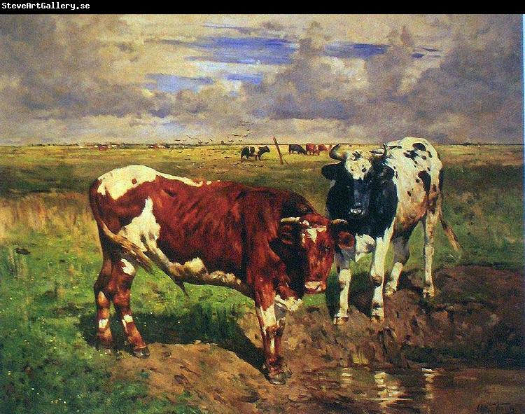 unknow artist Young bulls at a watering place